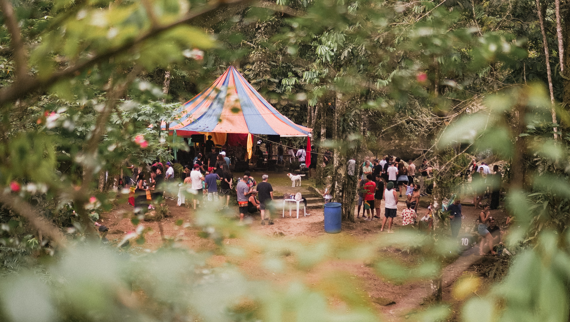 foto festival reggae na serra